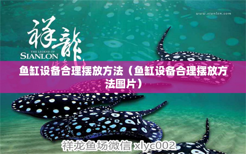 魚(yú)缸設(shè)備合理擺放方法（魚(yú)缸設(shè)備合理擺放方法圖片）