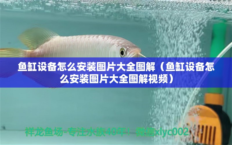 魚缸設(shè)備怎么安裝圖片大全圖解（魚缸設(shè)備怎么安裝圖片大全圖解視頻）