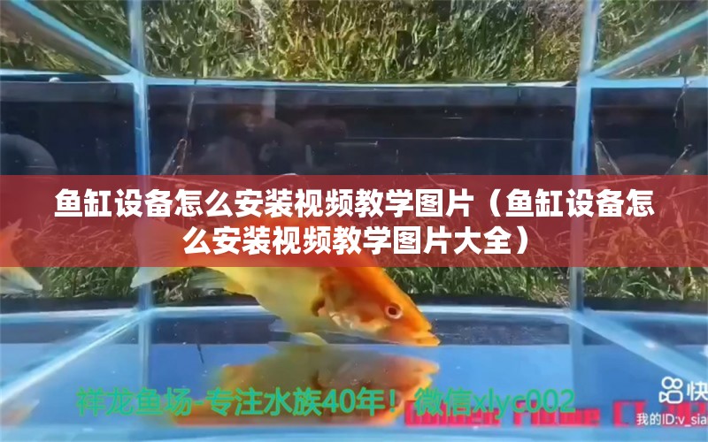 魚缸設(shè)備怎么安裝視頻教學(xué)圖片（魚缸設(shè)備怎么安裝視頻教學(xué)圖片大全）