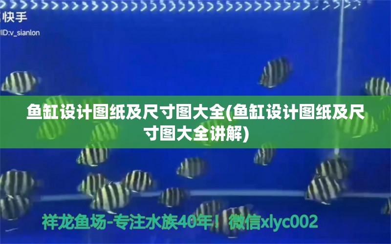 魚缸設計圖紙及尺寸圖大全(魚缸設計圖紙及尺寸圖大全講解) 龍鳳鯉魚