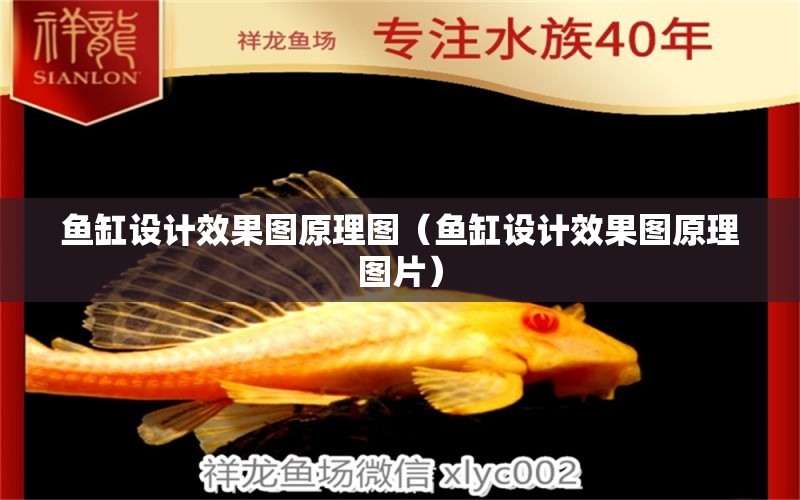 魚缸設(shè)計效果圖原理圖（魚缸設(shè)計效果圖原理圖片） 觀賞魚市場（混養(yǎng)魚）