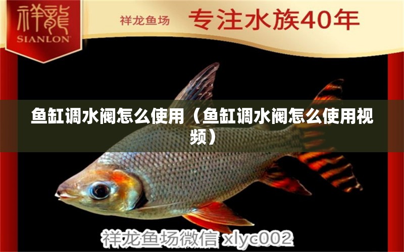 魚缸調(diào)水閥怎么使用（魚缸調(diào)水閥怎么使用視頻） 南美異型魚