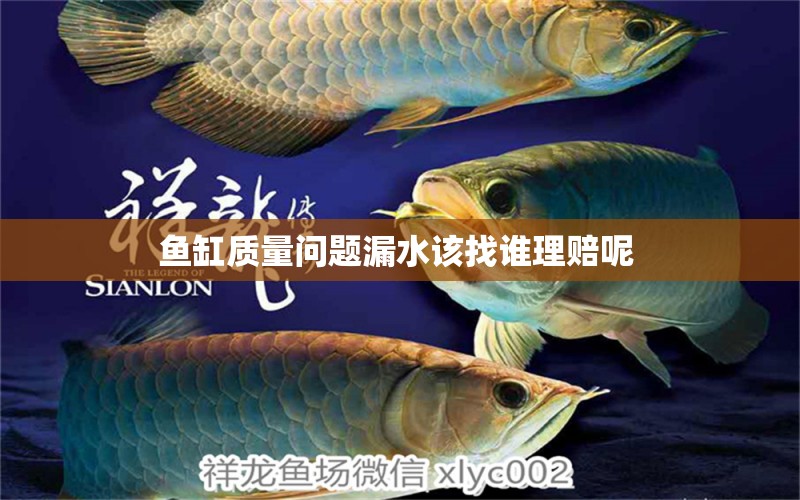 魚(yú)缸質(zhì)量問(wèn)題漏水該找誰(shuí)理賠呢 