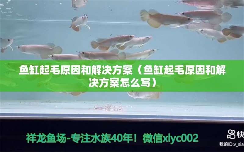 魚(yú)缸起毛原因和解決方案（魚(yú)缸起毛原因和解決方案怎么寫(xiě)） 其他品牌魚(yú)缸