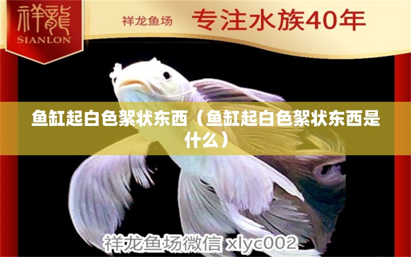 魚缸起白色絮狀東西（魚缸起白色絮狀東西是什么） 其他品牌魚缸