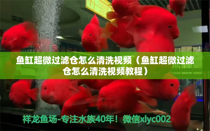 魚缸超微過濾倉怎么清洗視頻（魚缸超微過濾倉怎么清洗視頻教程） 魚缸清潔用具