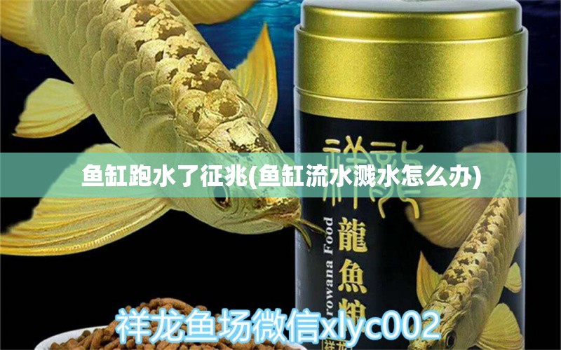 魚缸跑水了征兆(魚缸流水濺水怎么辦) 野生埃及神仙魚