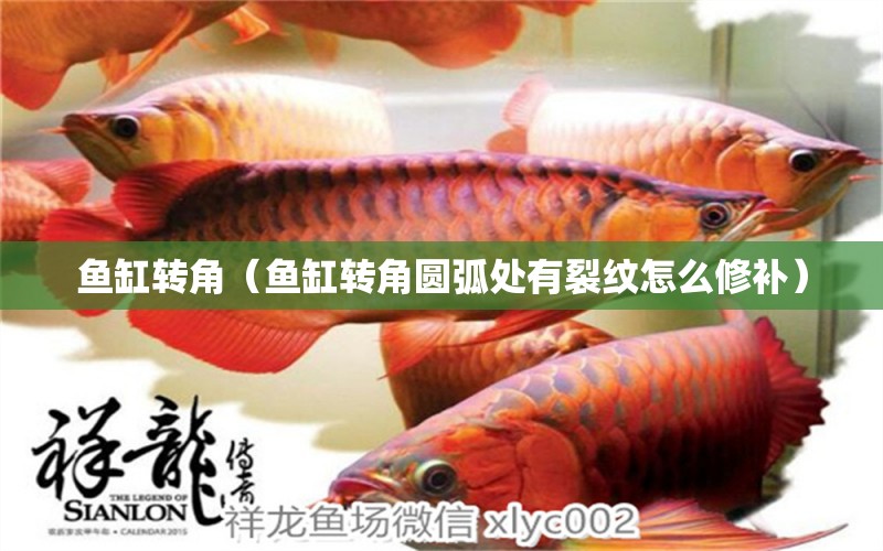 魚缸轉(zhuǎn)角（魚缸轉(zhuǎn)角圓弧處有裂紋怎么修補(bǔ)） 其他品牌魚缸