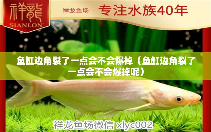 魚(yú)缸邊角裂了一點(diǎn)會(huì)不會(huì)爆掉（魚(yú)缸邊角裂了一點(diǎn)會(huì)不會(huì)爆掉呢）