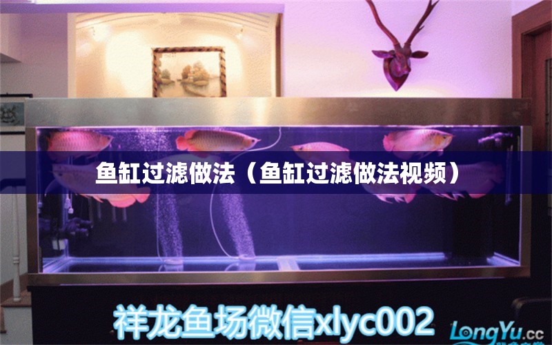 魚缸過濾做法（魚缸過濾做法視頻）