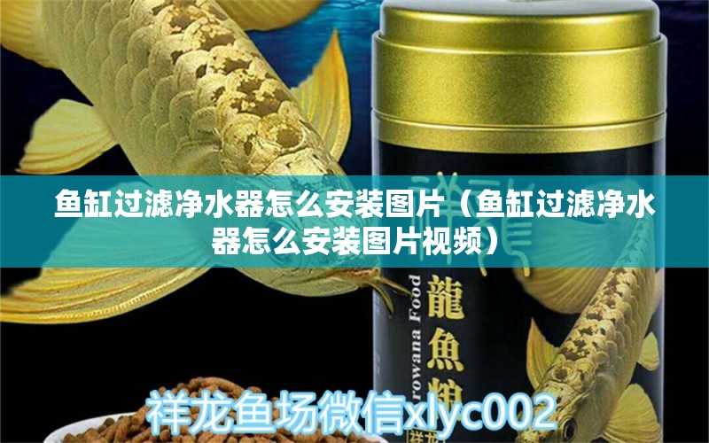 魚缸過濾凈水器怎么安裝圖片（魚缸過濾凈水器怎么安裝圖片視頻） 祥龍水族醫(yī)院