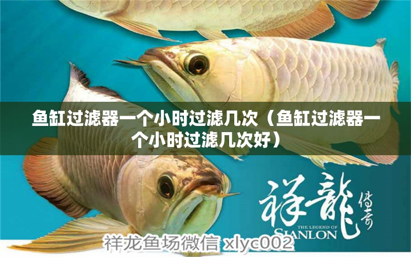 魚缸過濾器一個(gè)小時(shí)過濾幾次（魚缸過濾器一個(gè)小時(shí)過濾幾次好）