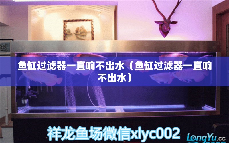 魚缸過濾器一直響不出水（魚缸過濾器一直響不出水） 祥龍水族醫(yī)院