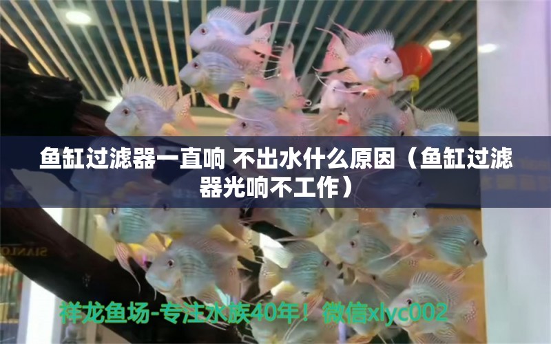 魚(yú)缸過(guò)濾器一直響 不出水什么原因（魚(yú)缸過(guò)濾器光響不工作）