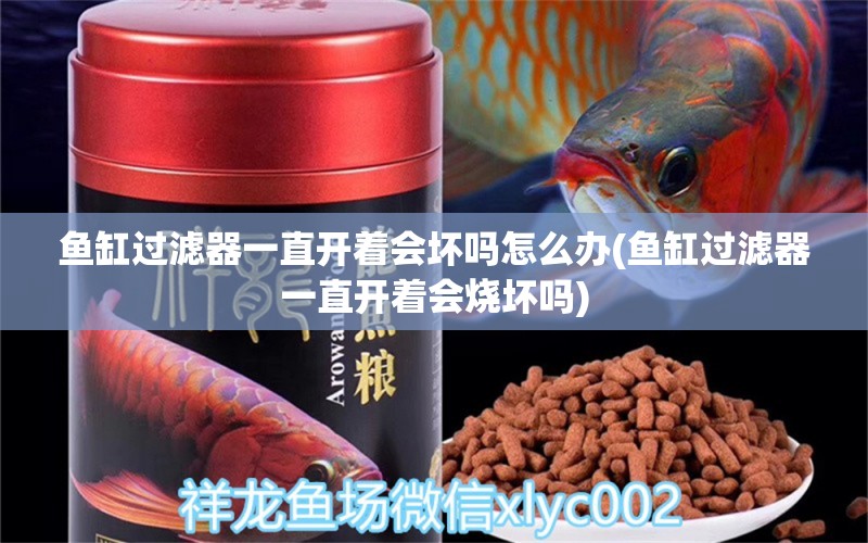 魚缸過濾器一直開著會壞嗎怎么辦(魚缸過濾器一直開著會燒壞嗎)