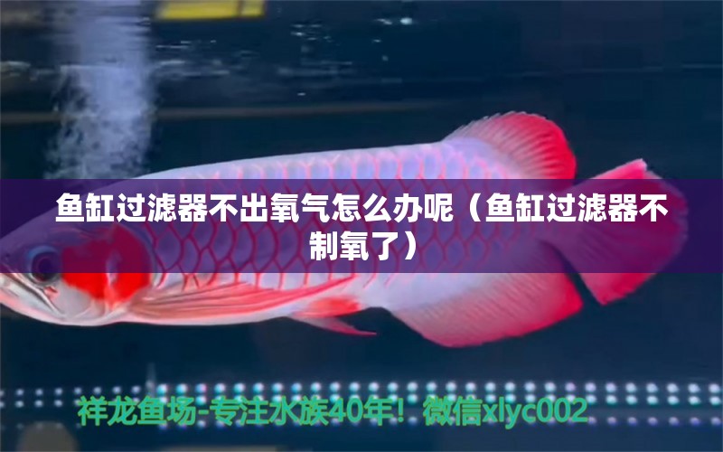 魚(yú)缸過(guò)濾器不出氧氣怎么辦呢（魚(yú)缸過(guò)濾器不制氧了） 充氧泵 第1張