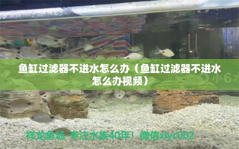 魚缸過(guò)濾器不進(jìn)水怎么辦（魚缸過(guò)濾器不進(jìn)水怎么辦視頻）