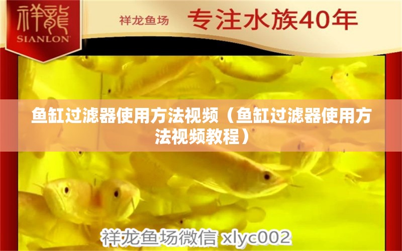 魚缸過濾器使用方法視頻（魚缸過濾器使用方法視頻教程） 其他品牌魚缸