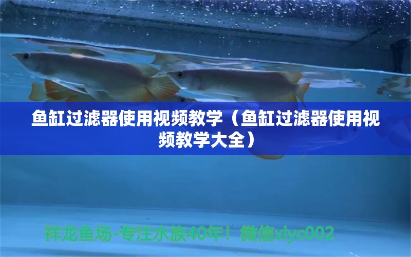 魚缸過濾器使用視頻教學(xué)（魚缸過濾器使用視頻教學(xué)大全） 其他品牌魚缸