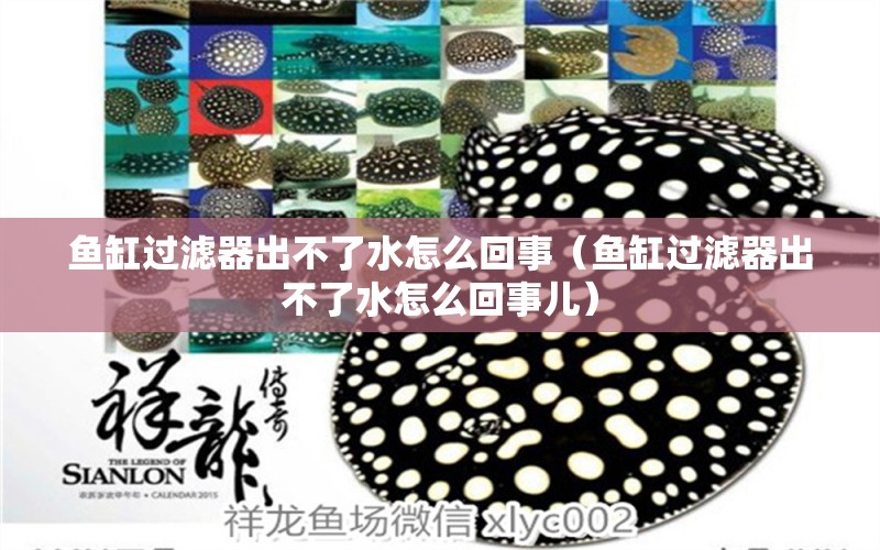 魚缸過濾器出不了水怎么回事（魚缸過濾器出不了水怎么回事兒）