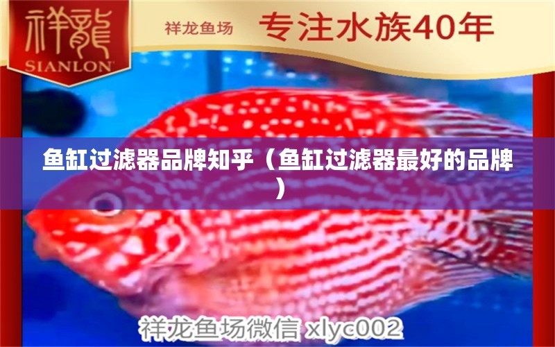 魚缸過濾器品牌知乎（魚缸過濾器最好的品牌）