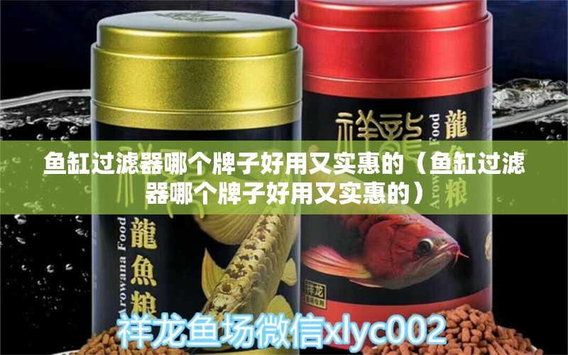 魚缸過濾器哪個(gè)牌子好用又實(shí)惠的（魚缸過濾器哪個(gè)牌子好用又實(shí)惠的）