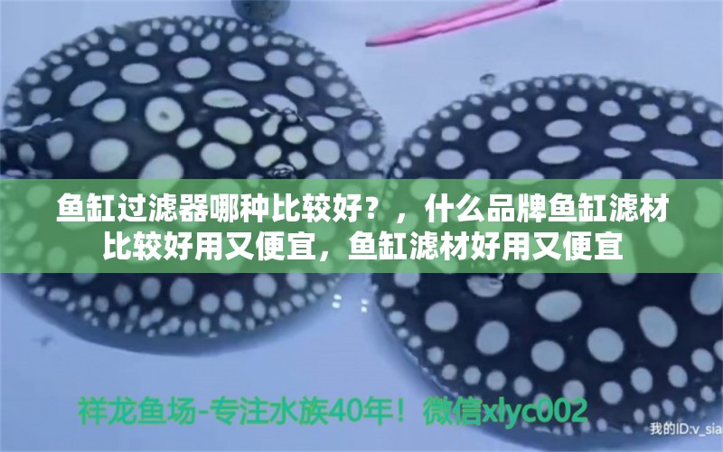 魚缸過濾器哪種比較好？，什么品牌魚缸濾材比較好用又便宜，魚缸濾材好用又便宜 龍魚疾病與治療 第1張