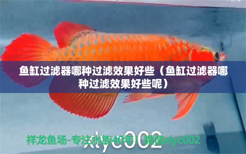 魚缸過濾器哪種過濾效果好些（魚缸過濾器哪種過濾效果好些呢）