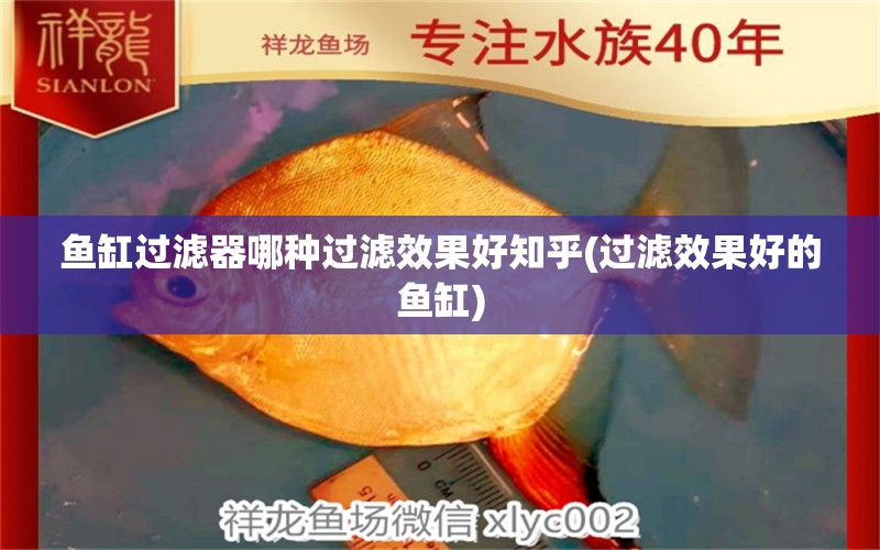 魚(yú)缸過(guò)濾器哪種過(guò)濾效果好知乎(過(guò)濾效果好的魚(yú)缸) 赤荔鳳冠魚(yú) 第1張