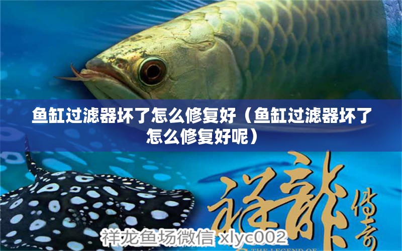 魚缸過濾器壞了怎么修復(fù)好（魚缸過濾器壞了怎么修復(fù)好呢）