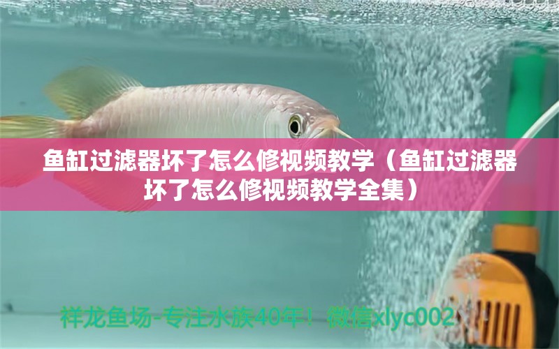 魚缸過濾器壞了怎么修視頻教學(xué)（魚缸過濾器壞了怎么修視頻教學(xué)全集） 其他品牌魚缸