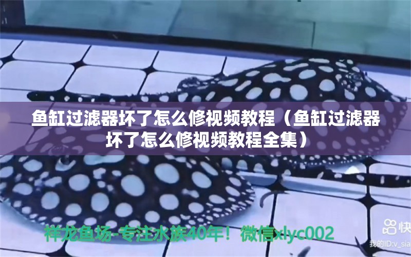 魚缸過濾器壞了怎么修視頻教程（魚缸過濾器壞了怎么修視頻教程全集） 其他品牌魚缸