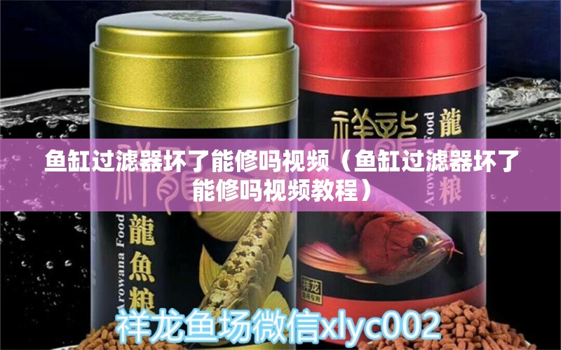 魚缸過濾器壞了能修嗎視頻（魚缸過濾器壞了能修嗎視頻教程）