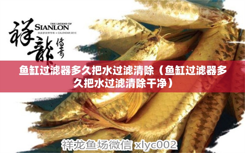 魚(yú)缸過(guò)濾器多久把水過(guò)濾清除（魚(yú)缸過(guò)濾器多久把水過(guò)濾清除干凈）