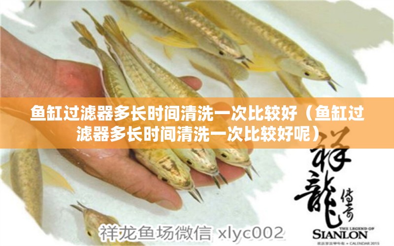 魚(yú)缸過(guò)濾器多長(zhǎng)時(shí)間清洗一次比較好（魚(yú)缸過(guò)濾器多長(zhǎng)時(shí)間清洗一次比較好呢）