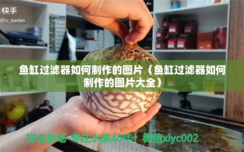 魚缸過濾器如何制作的圖片（魚缸過濾器如何制作的圖片大全）