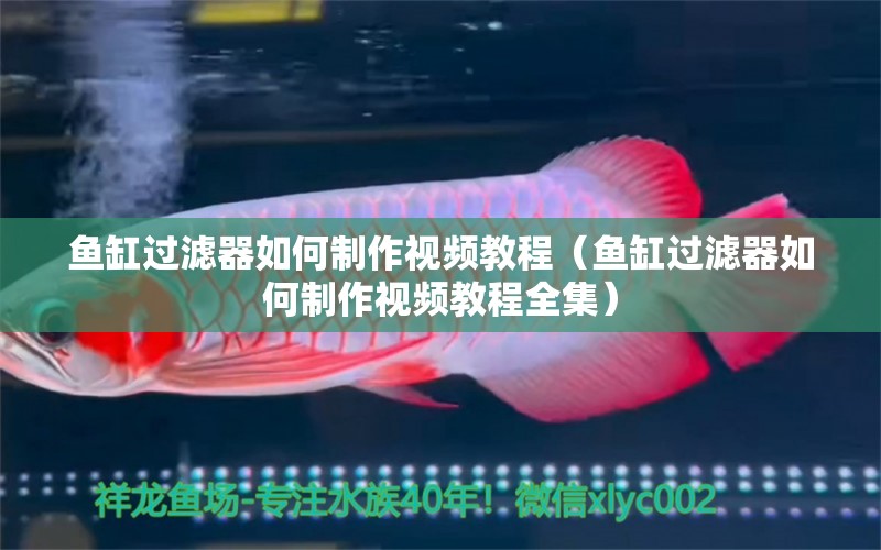 魚缸過濾器如何制作視頻教程（魚缸過濾器如何制作視頻教程全集）