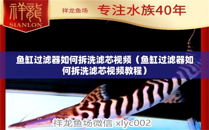 魚(yú)缸過(guò)濾器如何拆洗濾芯視頻（魚(yú)缸過(guò)濾器如何拆洗濾芯視頻教程） 其他品牌魚(yú)缸