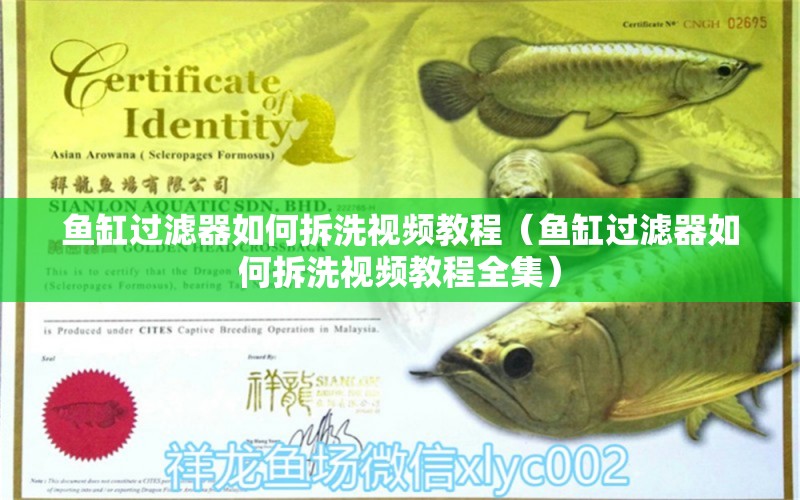 魚缸過濾器如何拆洗視頻教程（魚缸過濾器如何拆洗視頻教程全集） 其他品牌魚缸