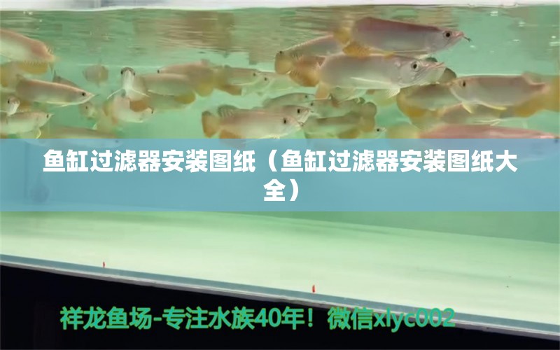 魚(yú)缸過(guò)濾器安裝圖紙（魚(yú)缸過(guò)濾器安裝圖紙大全） 其他品牌魚(yú)缸