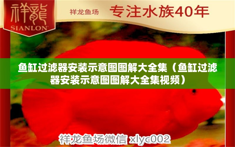 魚缸過濾器安裝示意圖圖解大全集（魚缸過濾器安裝示意圖圖解大全集視頻）