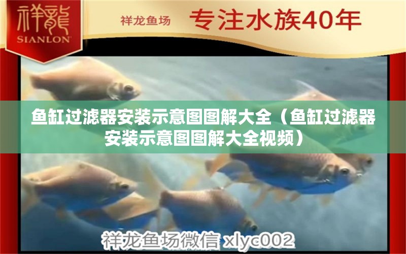 魚(yú)缸過(guò)濾器安裝示意圖圖解大全（魚(yú)缸過(guò)濾器安裝示意圖圖解大全視頻） 祥龍水族醫(yī)院