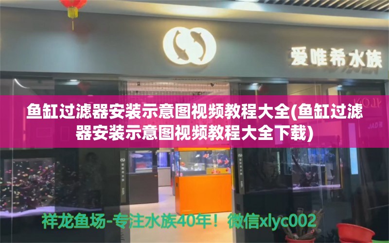 魚缸過濾器安裝示意圖視頻教程大全(魚缸過濾器安裝示意圖視頻教程大全下載) 暹羅巨鯉