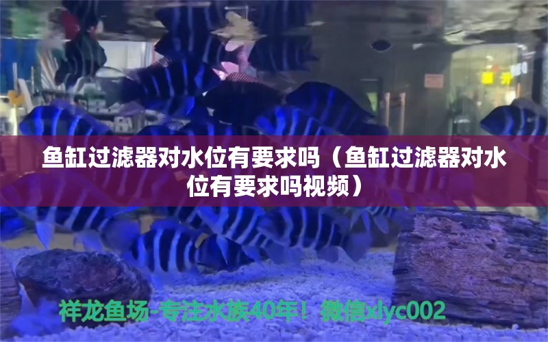 魚缸過濾器對水位有要求嗎（魚缸過濾器對水位有要求嗎視頻）