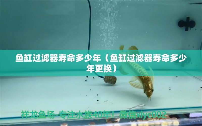 魚缸過濾器壽命多少年（魚缸過濾器壽命多少年更換） 其他品牌魚缸