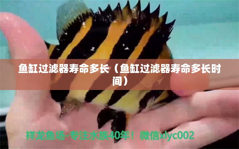 魚缸過濾器壽命多長（魚缸過濾器壽命多長時(shí)間） 其他品牌魚缸