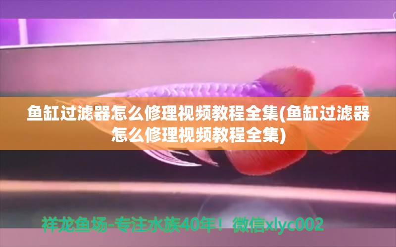 魚缸過濾器怎么修理視頻教程全集(魚缸過濾器怎么修理視頻教程全集)