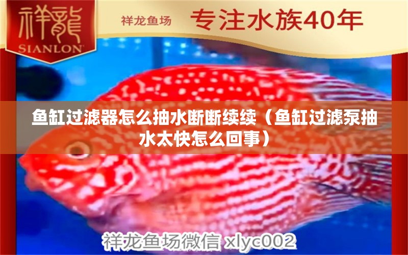 魚缸過濾器怎么抽水斷斷續(xù)續(xù)（魚缸過濾泵抽水太快怎么回事） 其他品牌魚缸