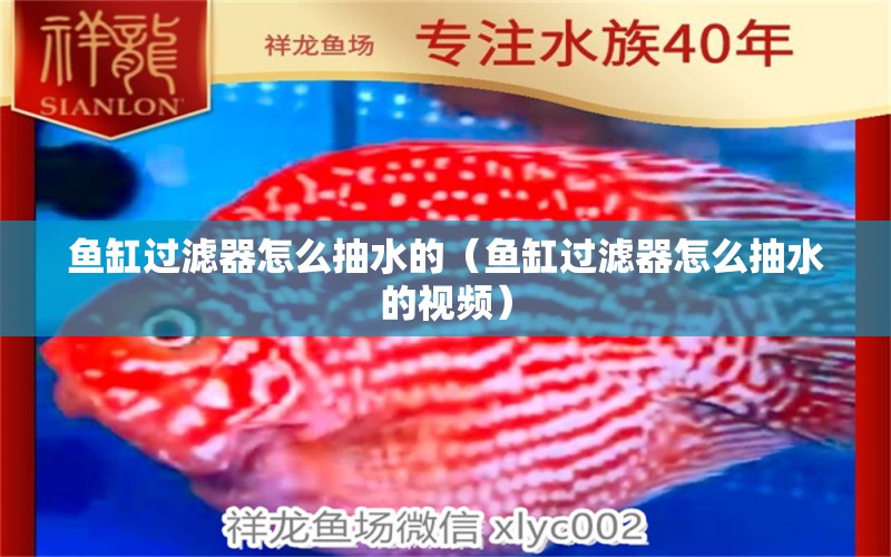 魚缸過濾器怎么抽水的（魚缸過濾器怎么抽水的視頻） 其他品牌魚缸