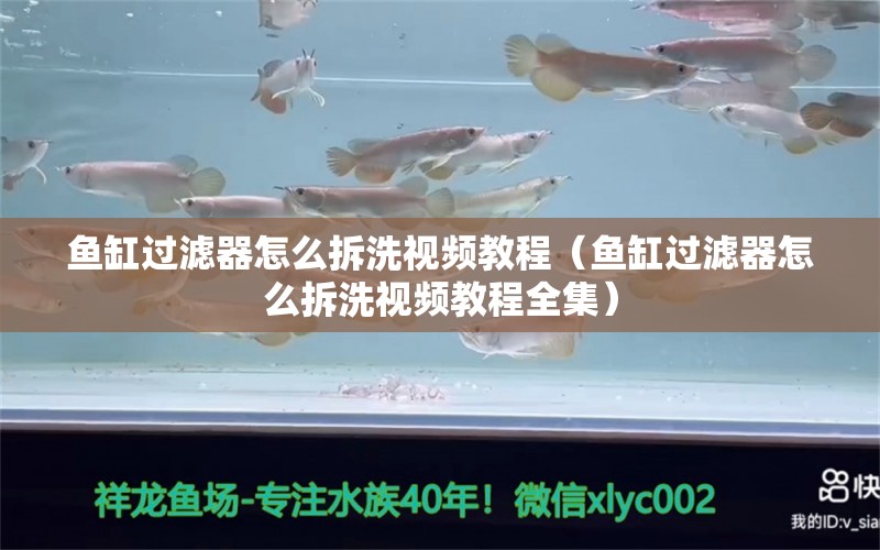 魚缸過濾器怎么拆洗視頻教程（魚缸過濾器怎么拆洗視頻教程全集） 其他品牌魚缸